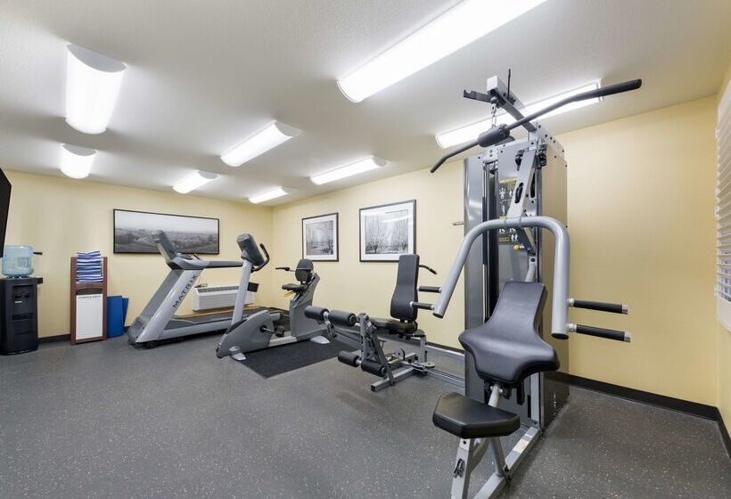 فندق Best Western The Inn Of Los Gatos