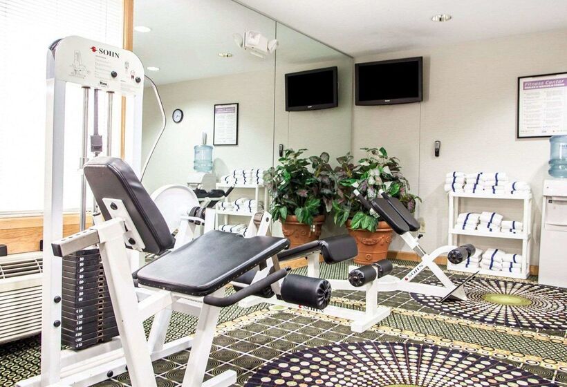 בית מלון כפרי Comfort Inn Bourbonnais Near I57