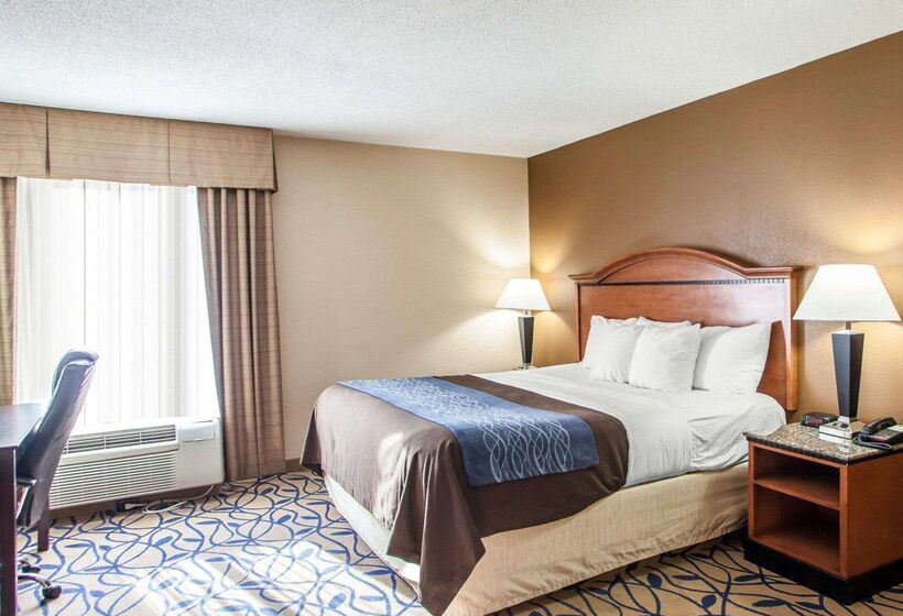 בית מלון כפרי Comfort Inn Bourbonnais Near I57