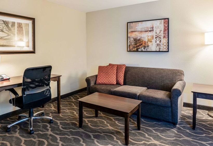 ホテル Country Inn & Suites By Radisson, Grandvillegrand Rapids West, Mi