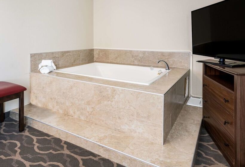 ホテル Country Inn & Suites By Radisson, Grandvillegrand Rapids West, Mi