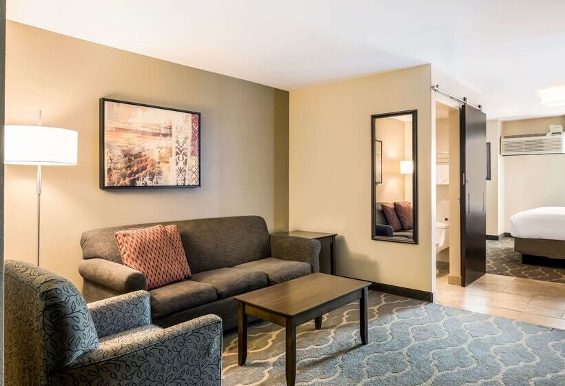 ホテル Country Inn & Suites By Radisson, Grandvillegrand Rapids West, Mi