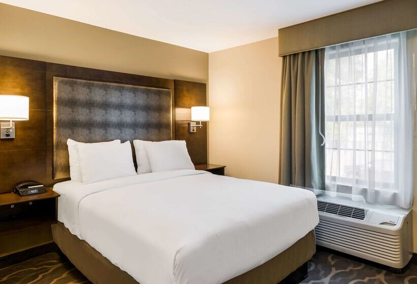 בית מלון כפרי Country Inn & Suites By Radisson, Grandvillegrand Rapids West, Mi