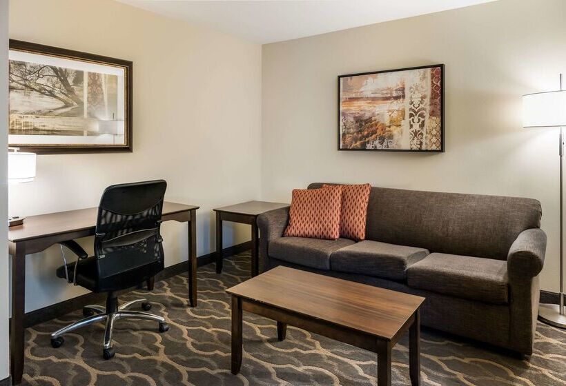 בית מלון כפרי Country Inn & Suites By Radisson, Grandvillegrand Rapids West, Mi