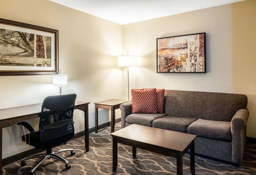 בית מלון כפרי Country Inn & Suites By Radisson, Grandvillegrand Rapids West, Mi