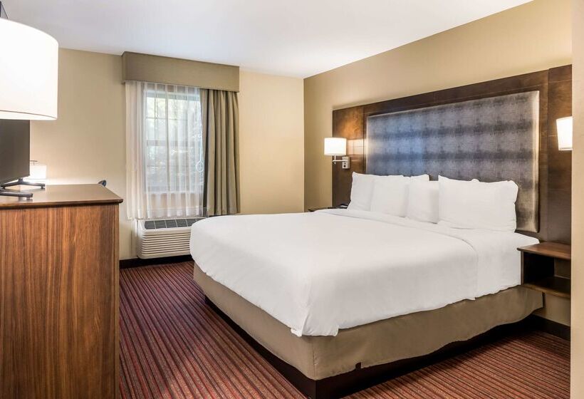 בית מלון כפרי Country Inn & Suites By Radisson, Grandvillegrand Rapids West, Mi