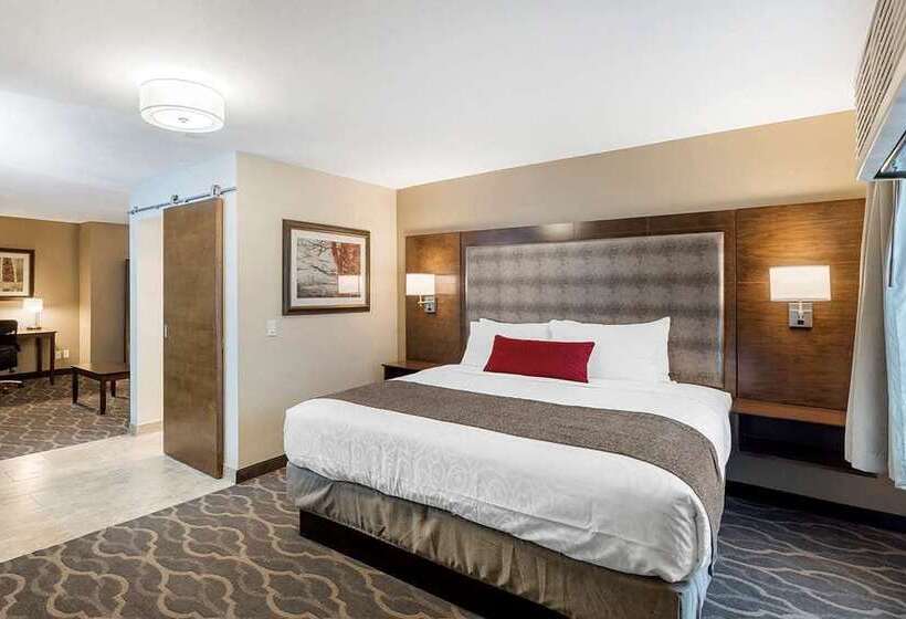 בית מלון כפרי Country Inn & Suites By Radisson, Grandvillegrand Rapids West, Mi
