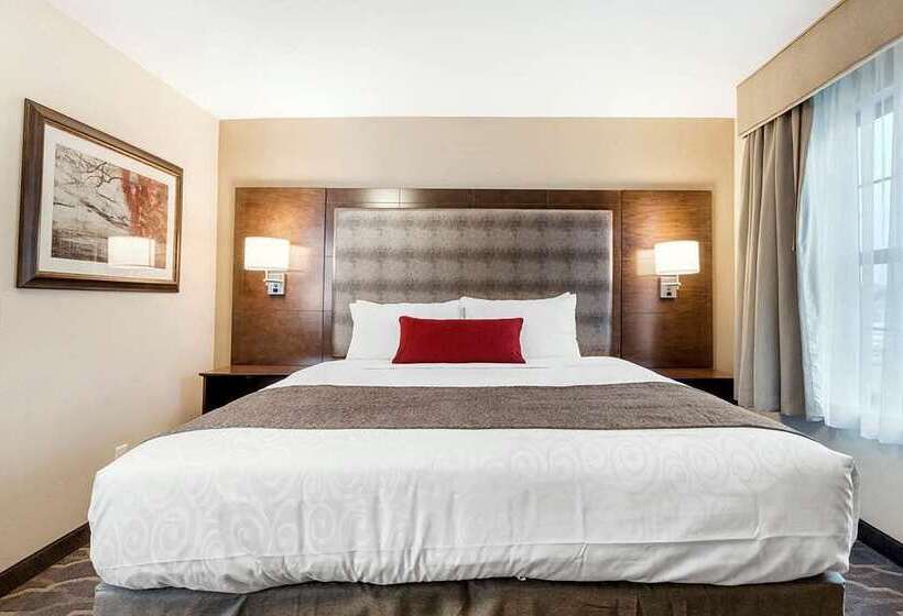 ホテル Country Inn & Suites By Radisson, Grandvillegrand Rapids West, Mi