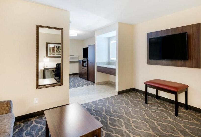 ホテル Country Inn & Suites By Radisson, Grandvillegrand Rapids West, Mi