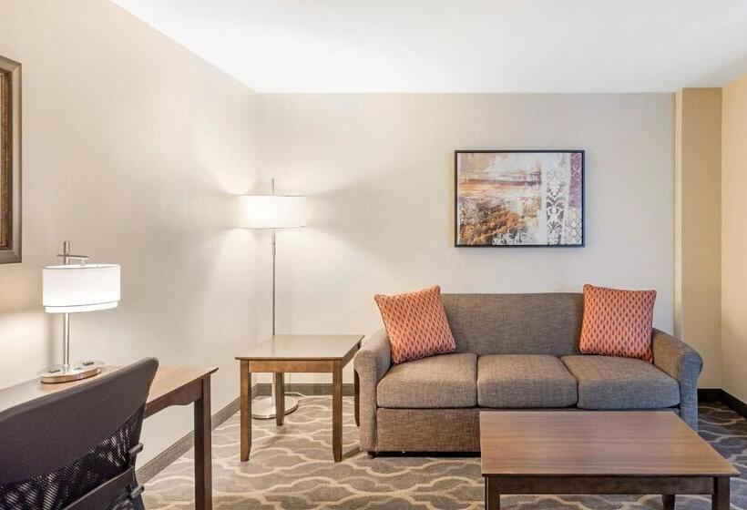 ホテル Country Inn & Suites By Radisson, Grandvillegrand Rapids West, Mi