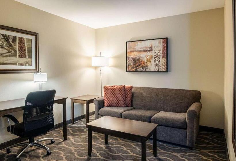ホテル Country Inn & Suites By Radisson, Grandvillegrand Rapids West, Mi