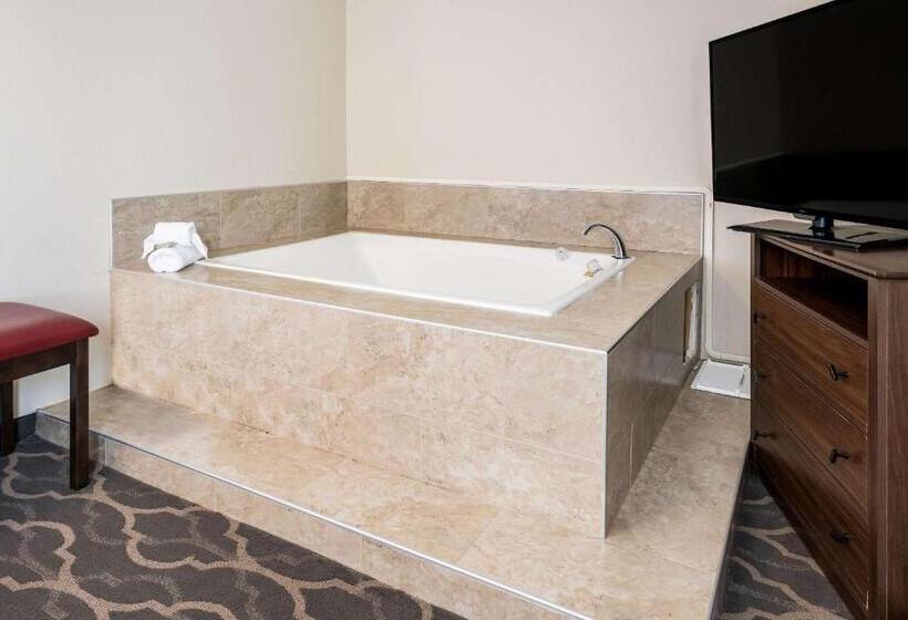 ホテル Country Inn & Suites By Radisson, Grandvillegrand Rapids West, Mi