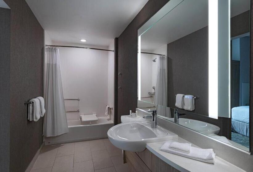 בית מלון כפרי Springhill Suites Waco