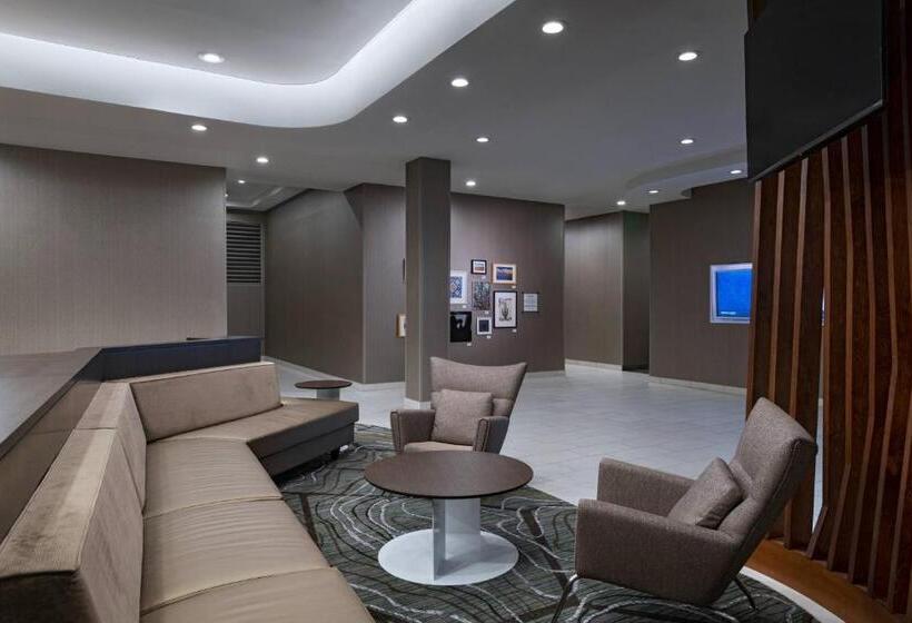 בית מלון כפרי Springhill Suites Waco