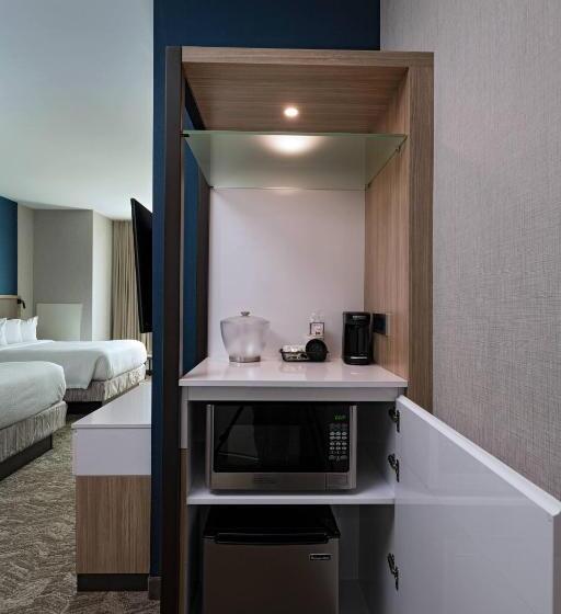 فندق Springhill Suites Waco