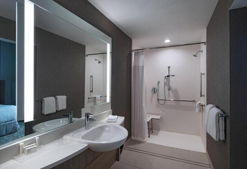 فندق Springhill Suites Waco