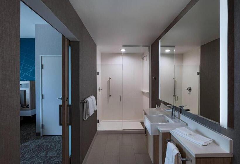 בית מלון כפרי Springhill Suites Waco