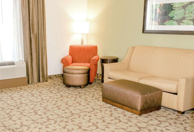 فندق Hilton Garden Inn Pascagoula