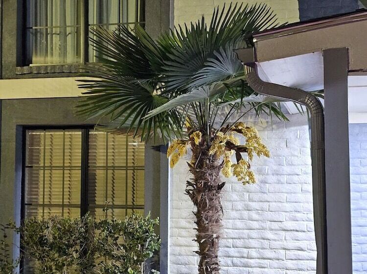 فندق Knights Inn   Lithonia