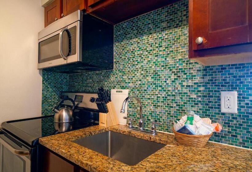 酒店 La Costa Beach Club