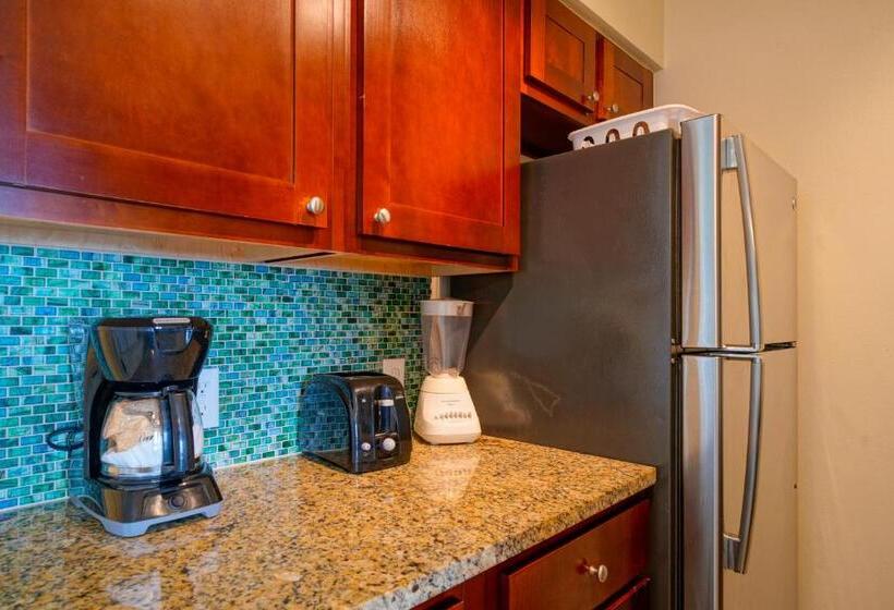 酒店 La Costa Beach Club