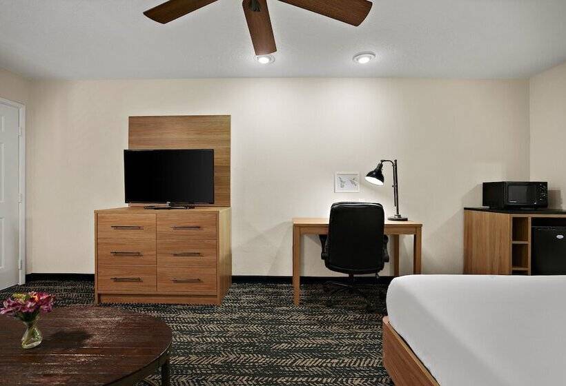 فندق La Fuente Inn & Suites