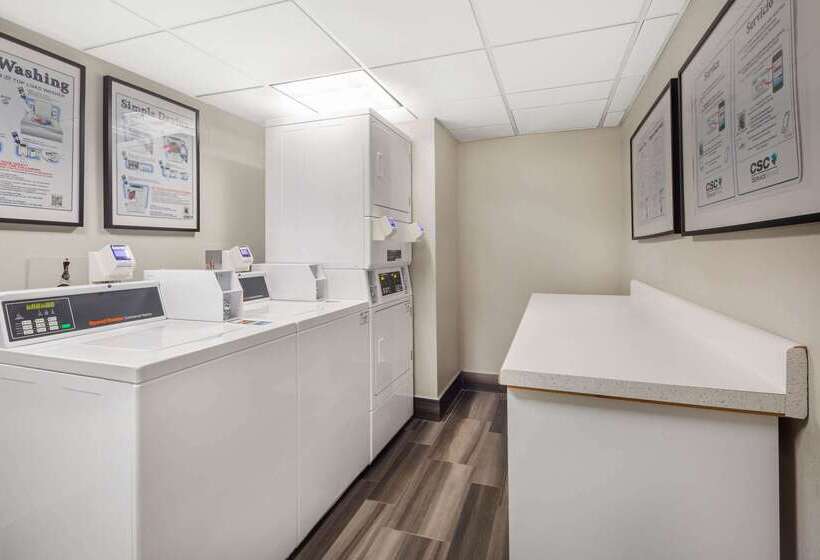 فندق La Quinta By Wyndham Ft. Lauderdale Plantation