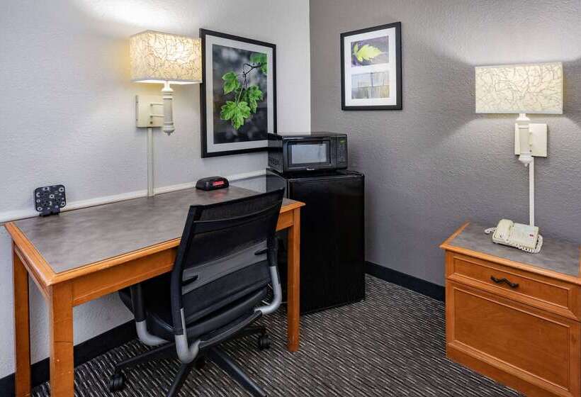 هتل La Quinta Inn By Wyndham Laredo I35