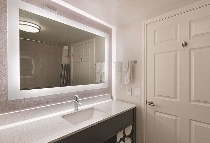 호텔 La Quinta By Wyndham Arlington North 6 Flags Dr