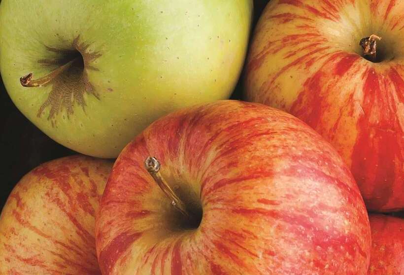 호텔 La Quinta By Wyndham Atlanta Perimeter Medical