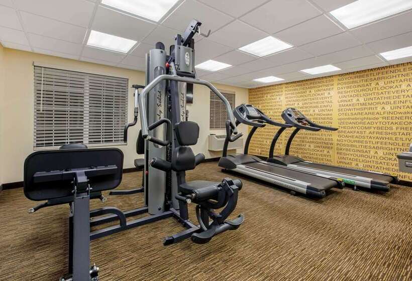 בית מלון כפרי La Quinta By Wyndham Dallas Dfw Airport North