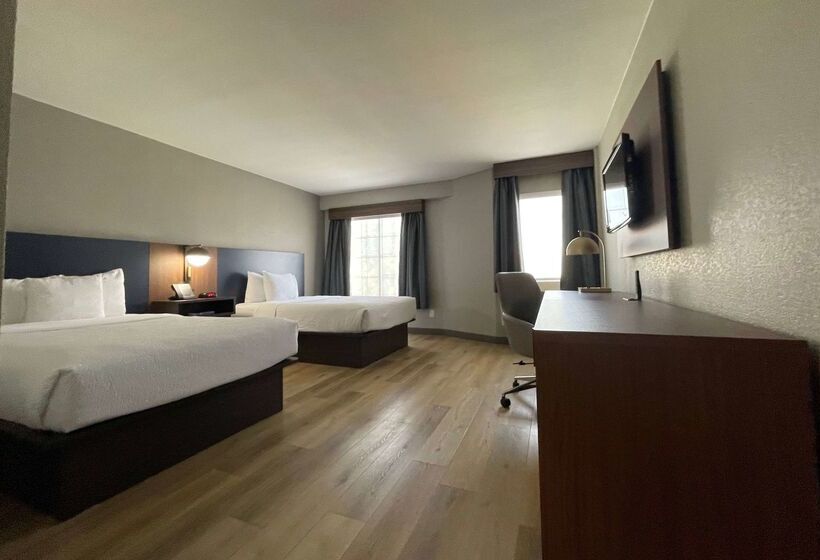 בית מלון כפרי La Quinta By Wyndham Dallas Dfw Airport North