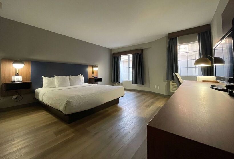 בית מלון כפרי La Quinta By Wyndham Dallas Dfw Airport North