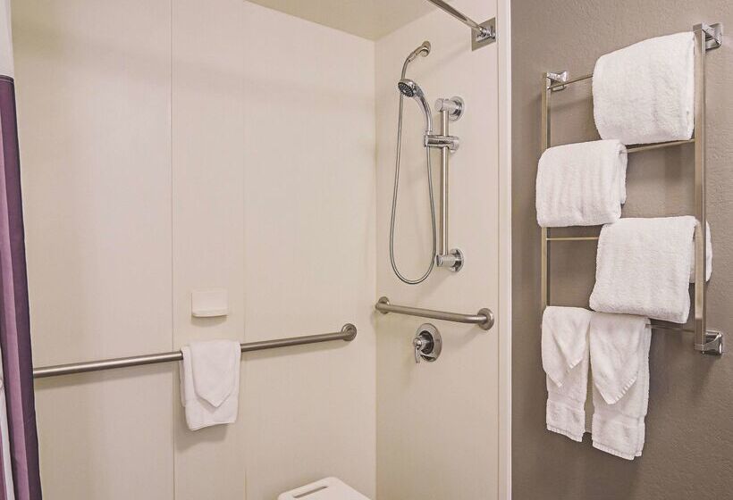 호텔 La Quinta By Wyndham Denver Airport Dia