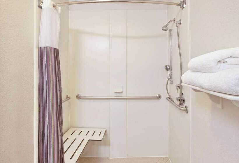 酒店 La Quinta By Wyndham Houston Galleria Area