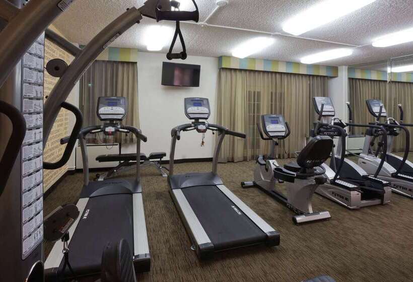 酒店 La Quinta By Wyndham Houston Stafford Sugarland