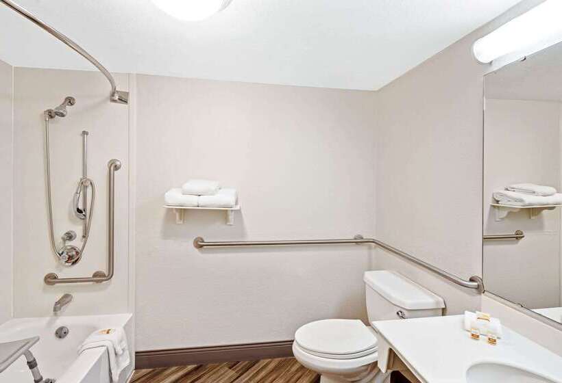 هتل La Quinta By Wyndham Houston West Park 10