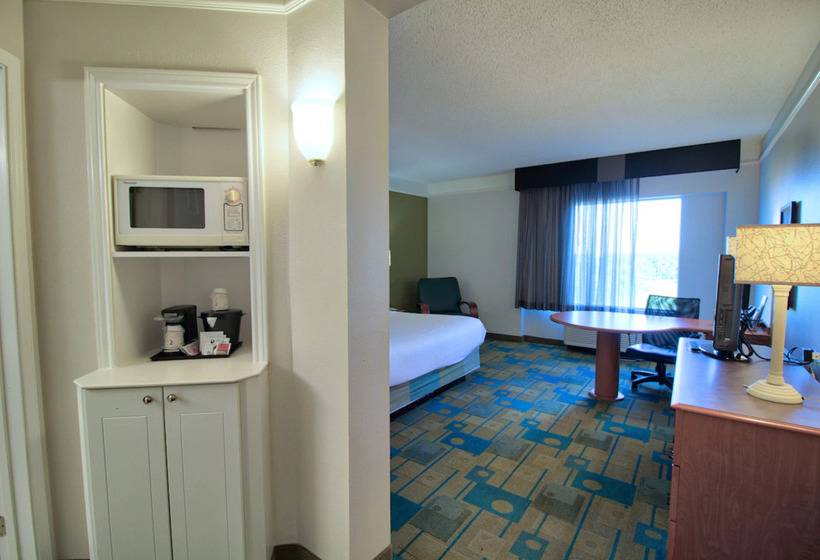 酒店 La Quinta By Wyndham Orlando I Drive/conv Center