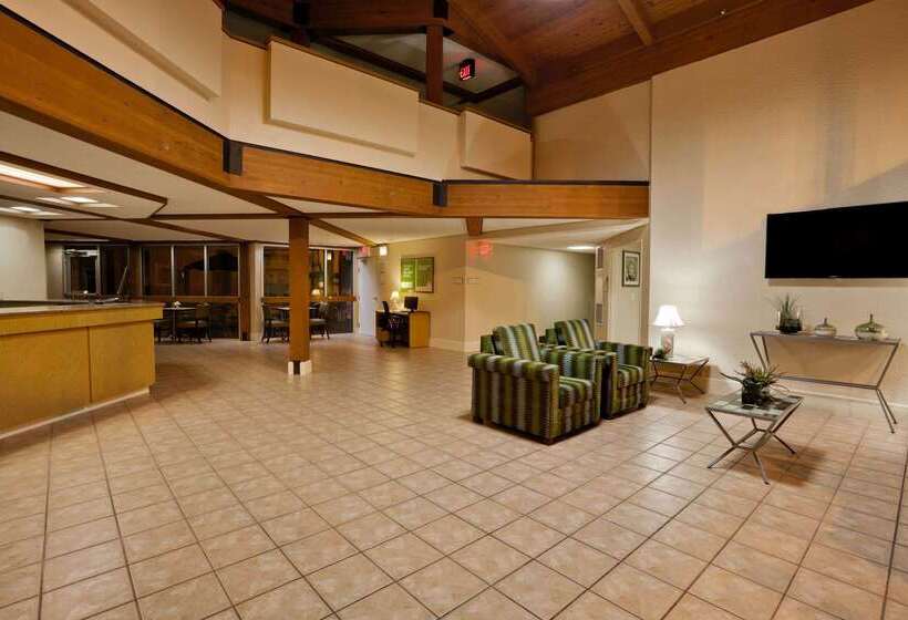 בית מלון כפרי La Quinta By Wyndham St. Pete Clearwater Airport