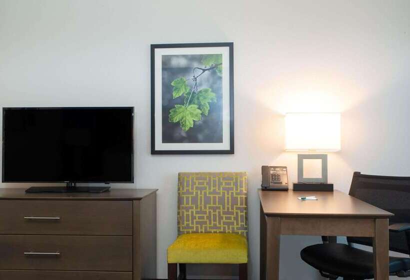 فندق La Quinta By Wyndham Tampa Brandon Regency Park