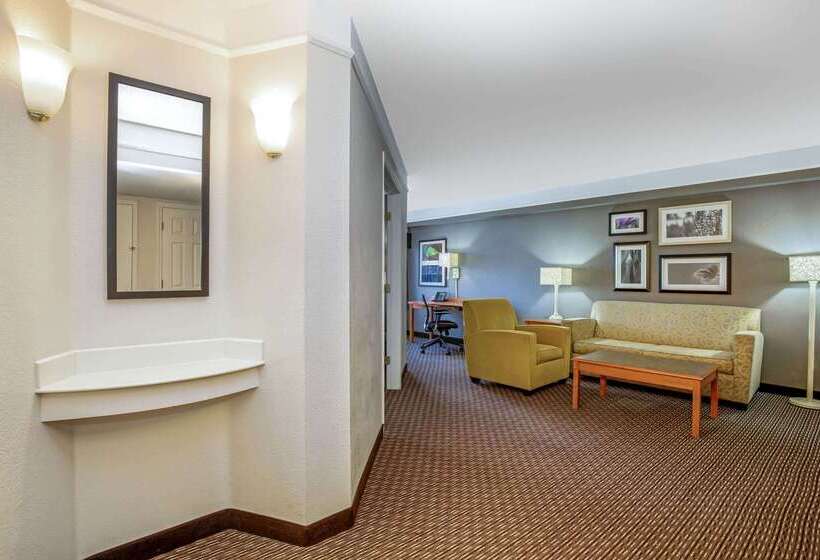 هتل La Quinta By Wyndham Tucson Airport