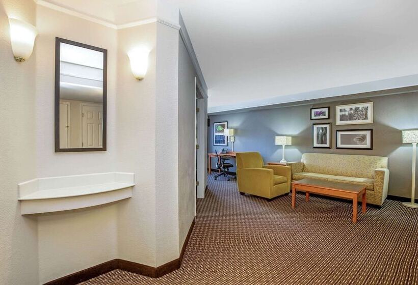 هتل La Quinta By Wyndham Tucson Airport