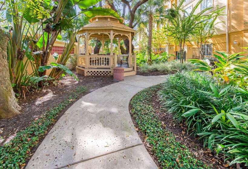 فندق La Quinta By Wyndham Usf