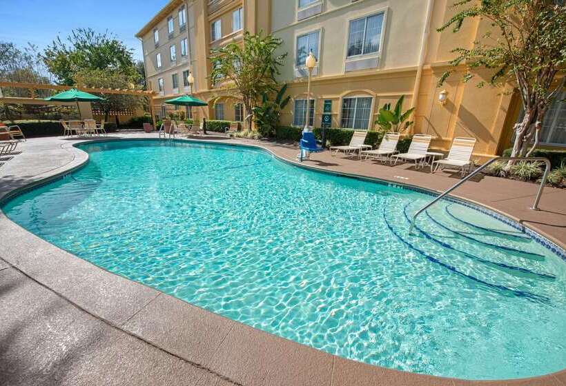 فندق La Quinta By Wyndham Usf