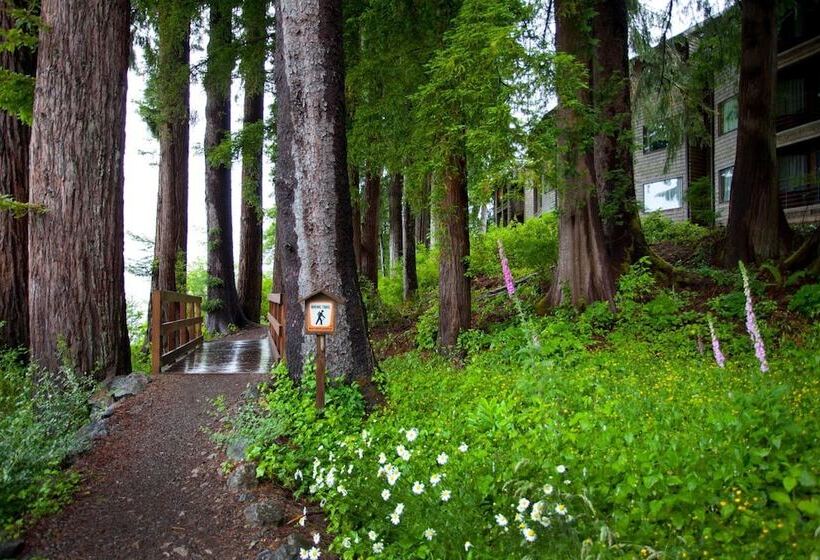 فندق Lake Quinault Lodge