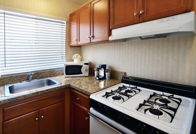 Отель Lamplighter Inn & Suites At Sdsu