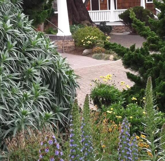 فندق Lighthouse Lodge & Cottages