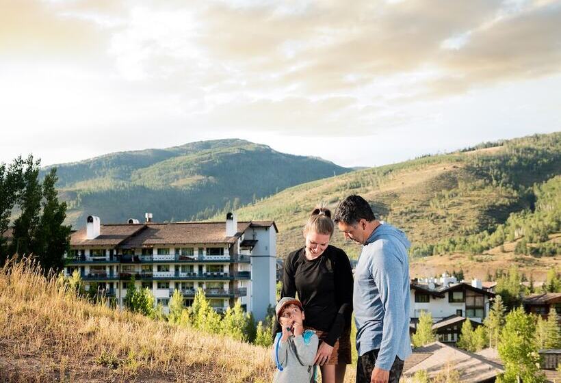 בית מלון כפרי Lodge Tower