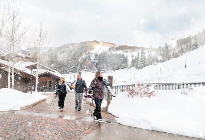 בית מלון כפרי Lodge Tower