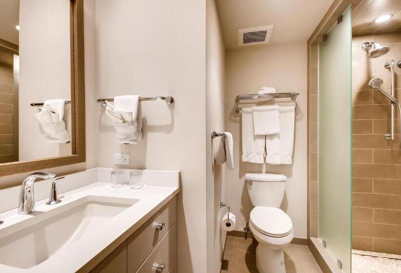 בית מלון כפרי Lodge Tower